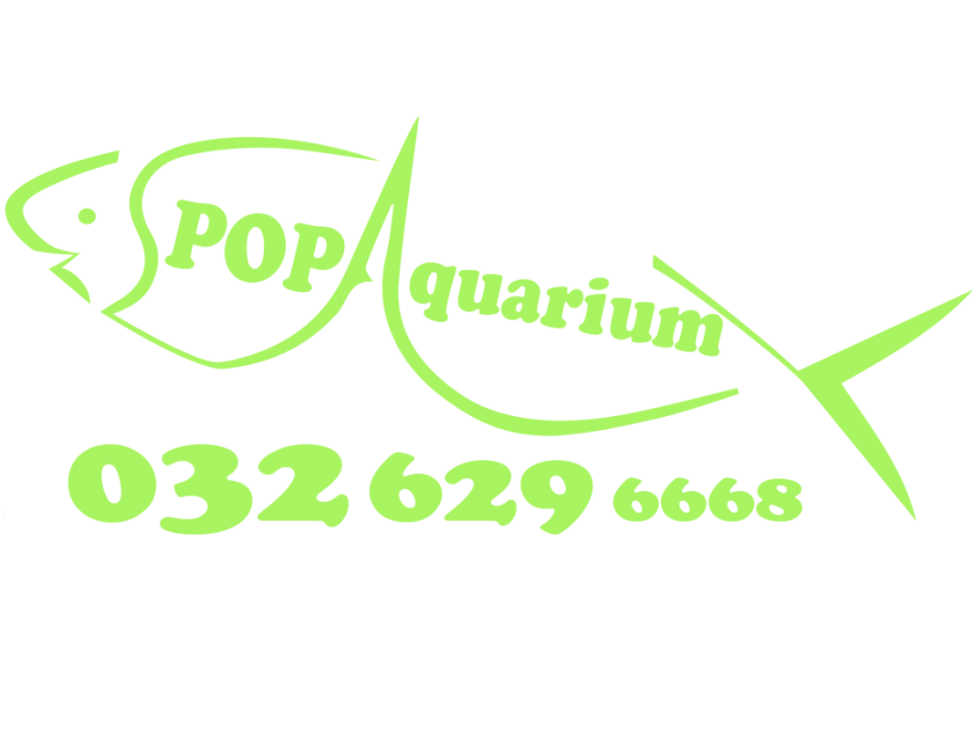 POP Aquarium