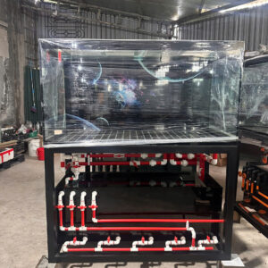 BỂ CÔNG NGHỆ MỚI KHUNG SẮT 133*61*69cm