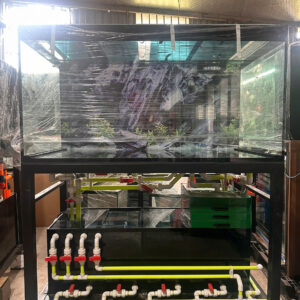 BỂ CÔNG NGHỆ MỚI CHÂN KHUNG SẮT HỘP( 133*61*69)